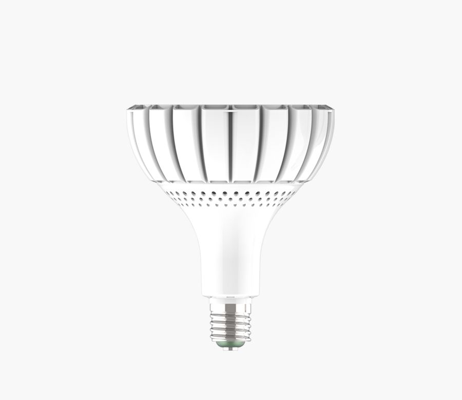 RS1 High Power Industrial Bulb(Lens Cover) 65W 80W 100W 150W
